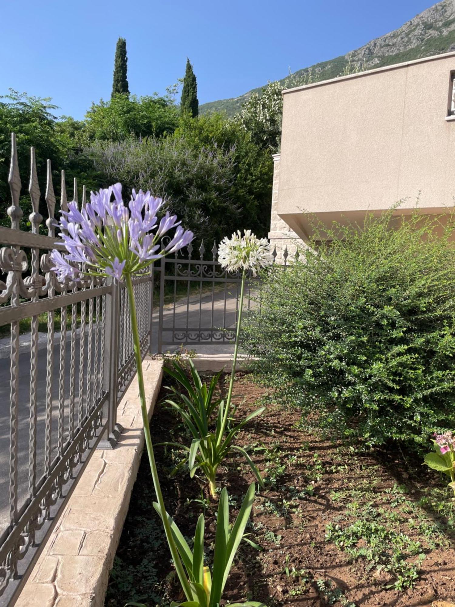 Villa Pul Risan Esterno foto